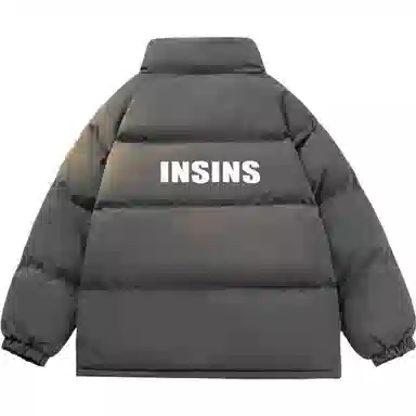 INS inslogo