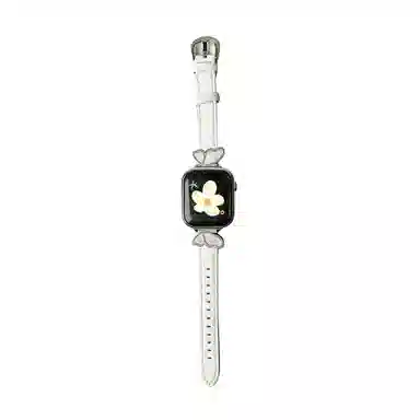 AppleiwatchS10S9 8 7 6 SE