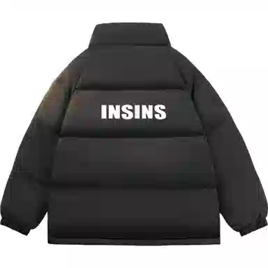INS inslogo
