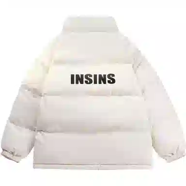 INS inslogo