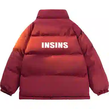 INS inslogo