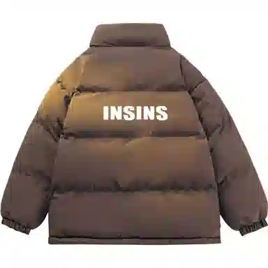 INS inslogo