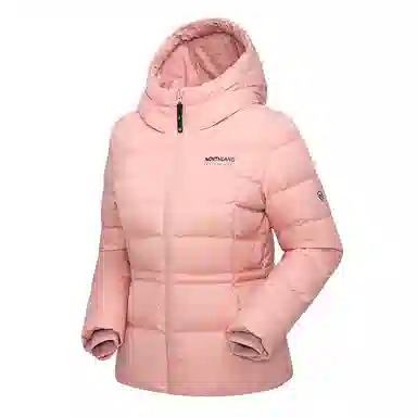 NORTHLAND PROFESSIONAL