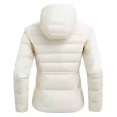 NORTHLAND PROFESSIONAL