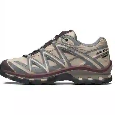 Salomon XT-Quest GTX Brown Grey