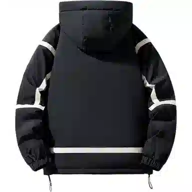 ICVBL 85