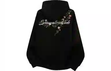 Sesame Street Hoodie