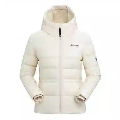 NORTHLAND PROFESSIONAL