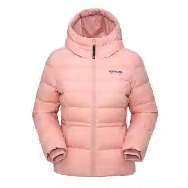 NORTHLAND PROFESSIONAL