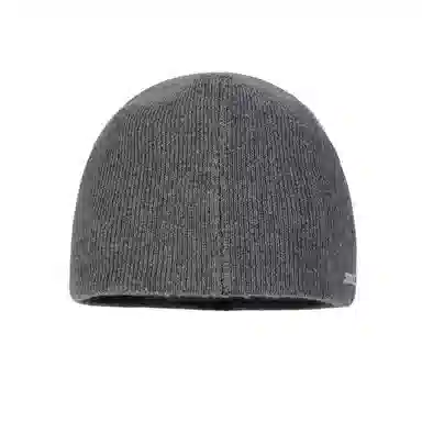 Dickies Fleece Beanie