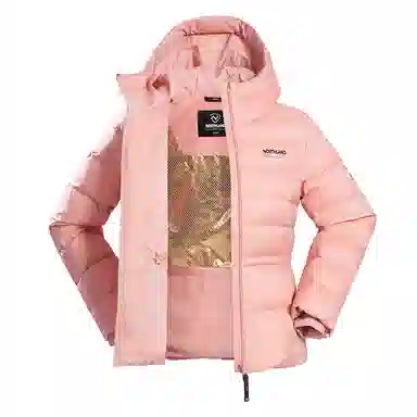 NORTHLAND PROFESSIONAL