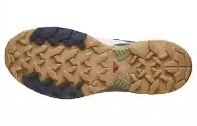 Salomon X Ultra 360 Blue Brown