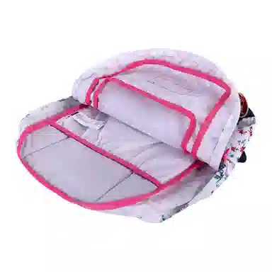 JanSport 31L