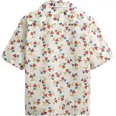 ZARA x Disney Harry Lambert FW25