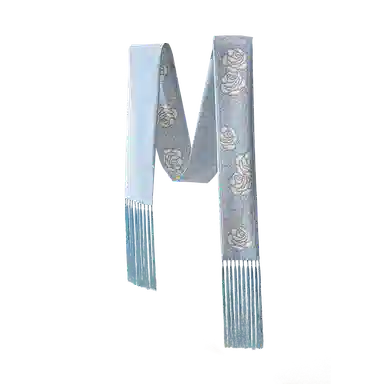 WENSLI 100