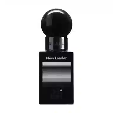 NEARU SOUL New Leader EDP 45ml