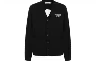 PP PIERRE PIERUCCI LOGOV