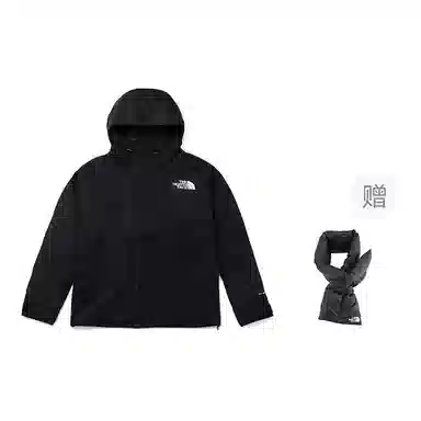 THE NORTH FACE Mountain logo