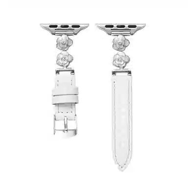 apple watchS11iwatchS1098765SE4