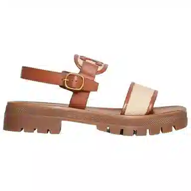 Celine Triomphe Sandals