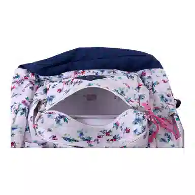 JanSport 31L