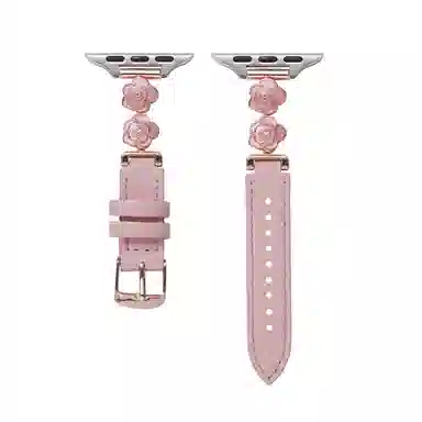 apple watchS11iwatchS1098765SE4