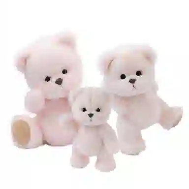 Lina Bear TeddyTales PRO Basic