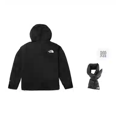 THE NORTH FACE Mountain logo