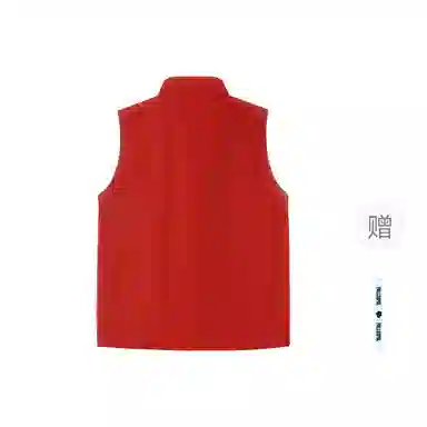 pallsupol