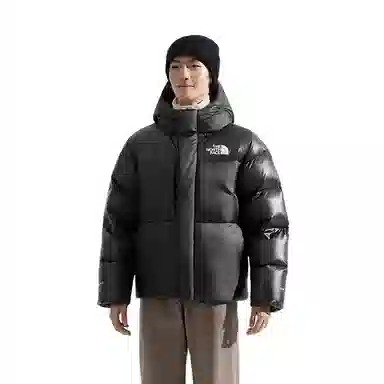 The North Face 700 Down Jacket