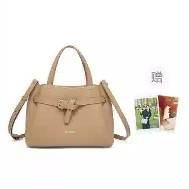 红蜻蜓 高级感小众潮流时尚百搭单肩斜挎包 合成革 手提包 常规 女款 黑色/卡其色