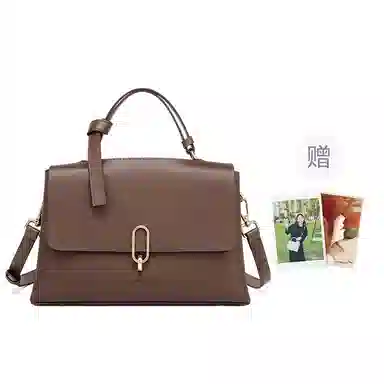 红蜻蜓 高级感小众时尚潮流品牌高颜值 牛皮 单肩斜挎手提包 常规 女款 黑色/咖啡色