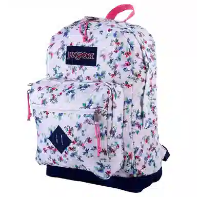 JanSport 31L