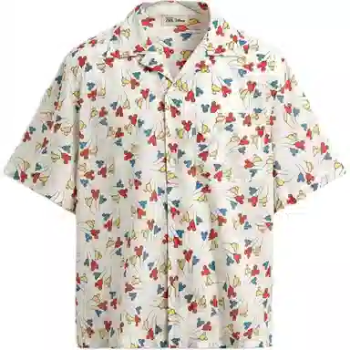 ZARA x Disney Harry Lambert FW25