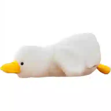 CANEXT 30cm50cm65cm100cm