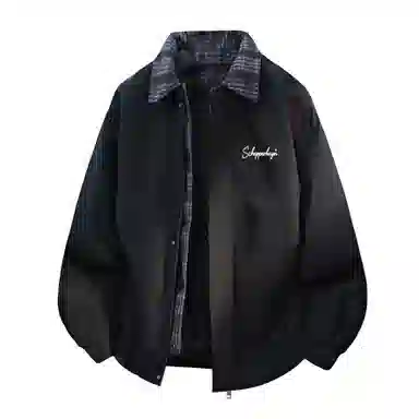 SCHEPPERHEYN 240 cleanflt