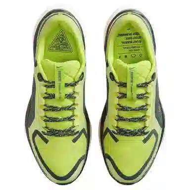 Nike Pegasus 41 GORE-TEX