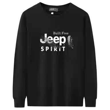 JEEP SPIRIT T