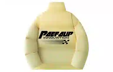 PAEFA logo