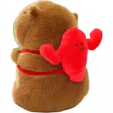 WADORN 20cm