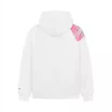 FDYZ DIY