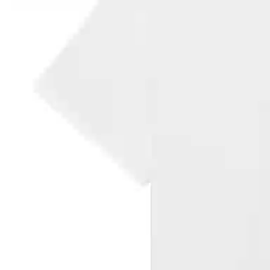 Bottega Veneta SS22 T