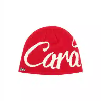 PLAN IN Vintage Jacquard Beanie