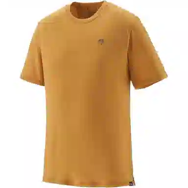 patagonia Capilene Cool Merino Graphic Shirt T
