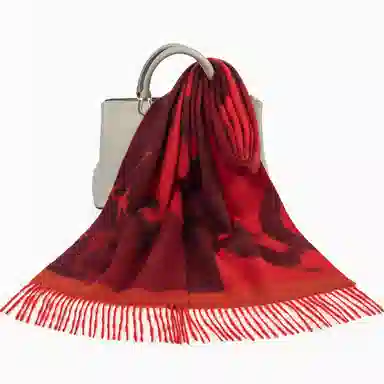 一米画纱 优雅保暖高级气质提花粗纺工艺加厚保暖高端轻奢优雅流苏 山羊绒 绒线围巾 女款