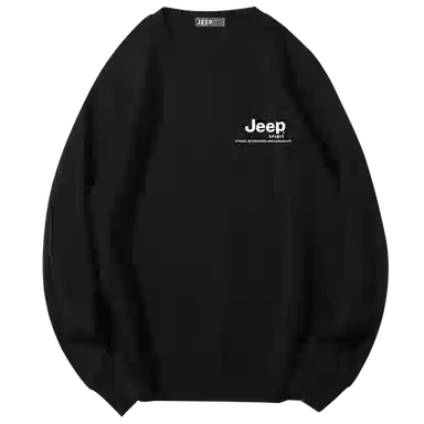 JEEP SPIRIT T