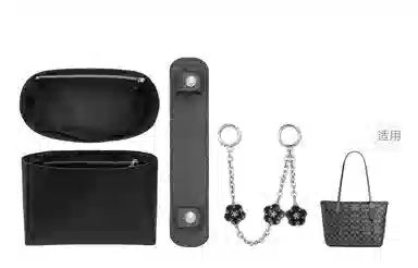 Coach Fiona 24 Tote Bag Insert