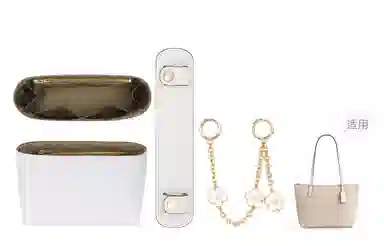 Coach Fiona 24 Tote Bag Insert