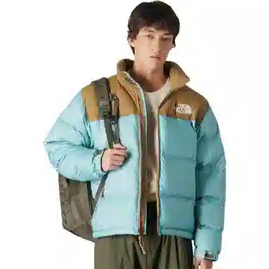 The North Face Icon Nuptse 700