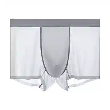 LOUGHNEA Ice Silk Boxer Briefs